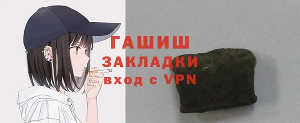 хмурый Арсеньев