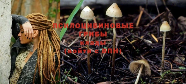 хмурый Арсеньев