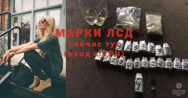 хмурый Арсеньев