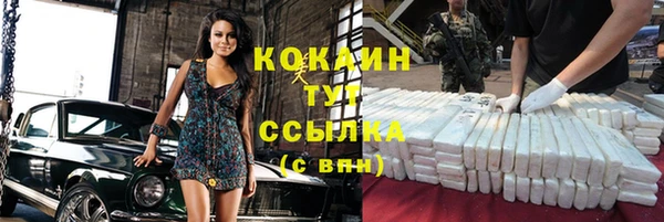 хмурый Арсеньев
