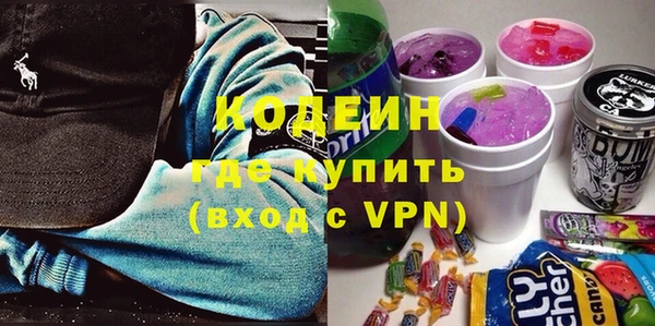 хмурый Арсеньев