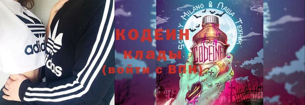 хмурый Арсеньев
